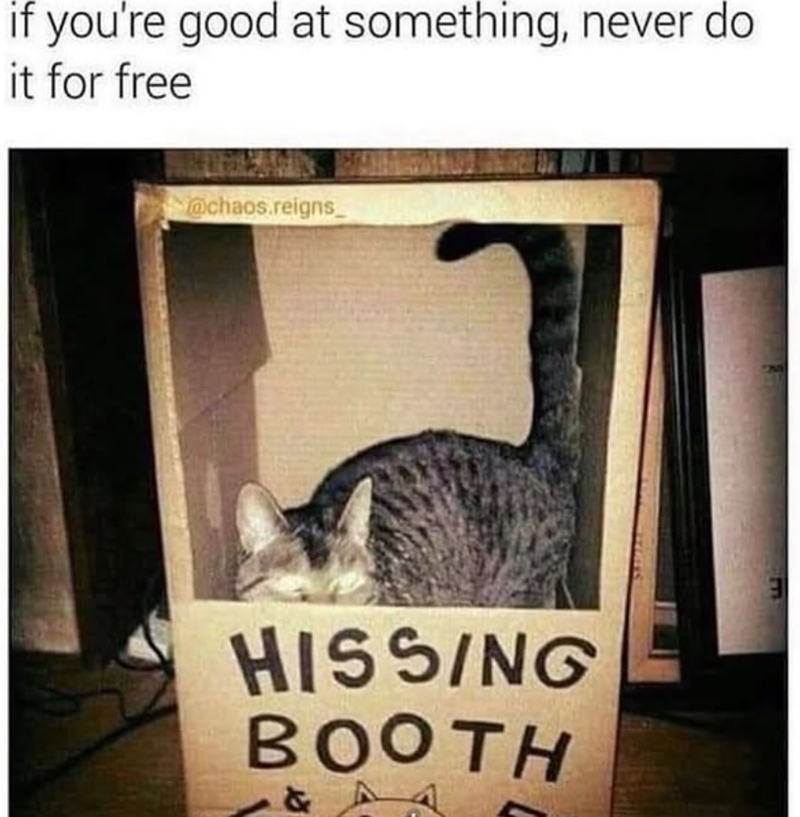 if you're good at something, never do it for free @chaos.reigns HISSING BOOTH &A 277