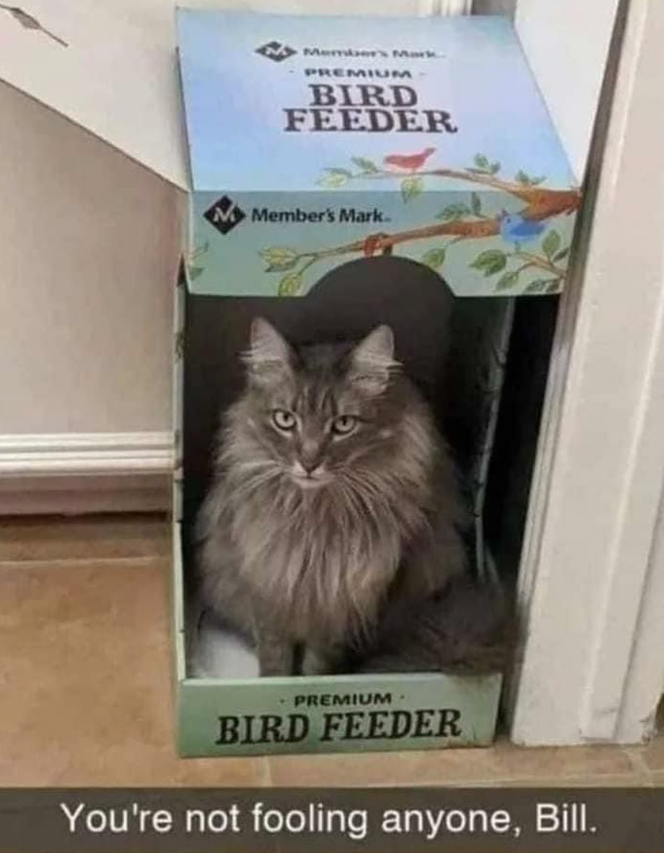 Member's Mark PREMIUM BIRD FEEDER M Member's Mark. PREMIUM BIRD FEEDER You're not fooling anyone, Bill.