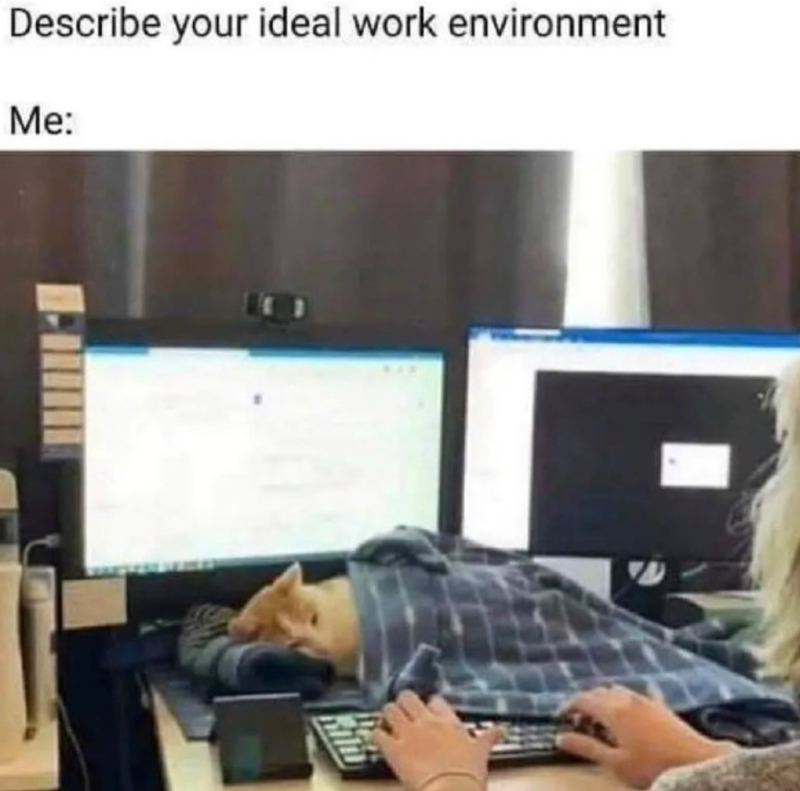 Describe your ideal work environment Me: