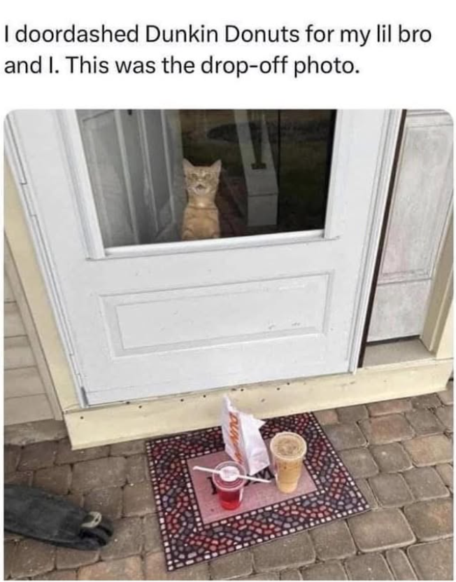 I doordashed Dunkin Donuts for my lil bro and I. This was the drop-off photo.