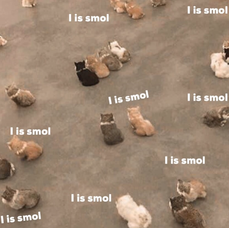 I is smol I is smol I is smol I is smol I is smol I is smol I is smol I is smol