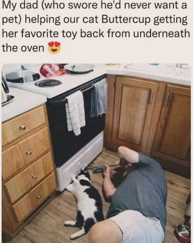 My dad (who swore he'd never want a pet) helping our cat Buttercup getting her favorite toy back from underneath the oven