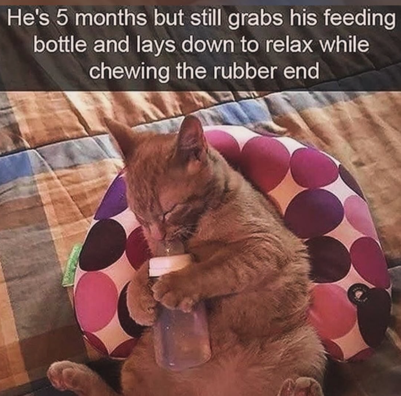 He's 5 months but still grabs his feeding bottle and lays down to relax while chewing the rubber end