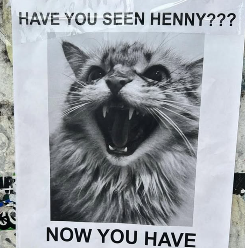 HAVE YOU SEEN HENNY??? R A NOW YOU HAVE