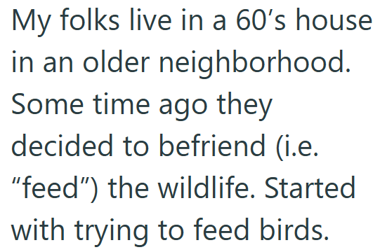 My folks live in a 60's house in an older neighborhood. Some time ago they decided to befriend (i.e. "feed") the wildlife. Started with trying to feed birds.