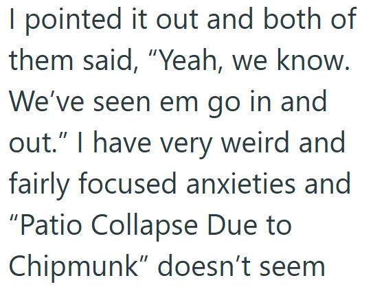 I pointed it out and both of them said, "Yeah, we know. We've seen em go in and out." I have very weird and fairly focused anxieties and "Patio Collapse Due to Chipmunk" doesn't seem
