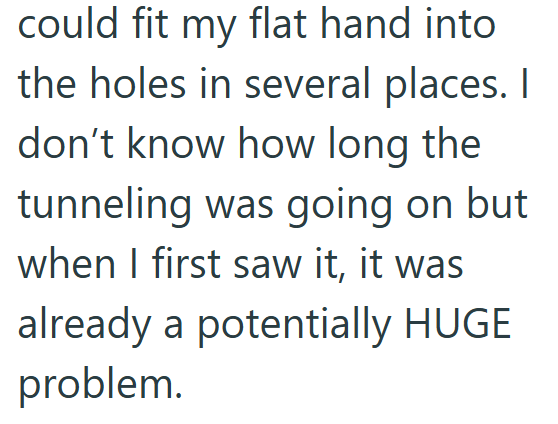 could fit my flat hand into the holes in several places. I don't know how long the tunneling was going on but when I first saw it, it was already a potentially HUGE problem.