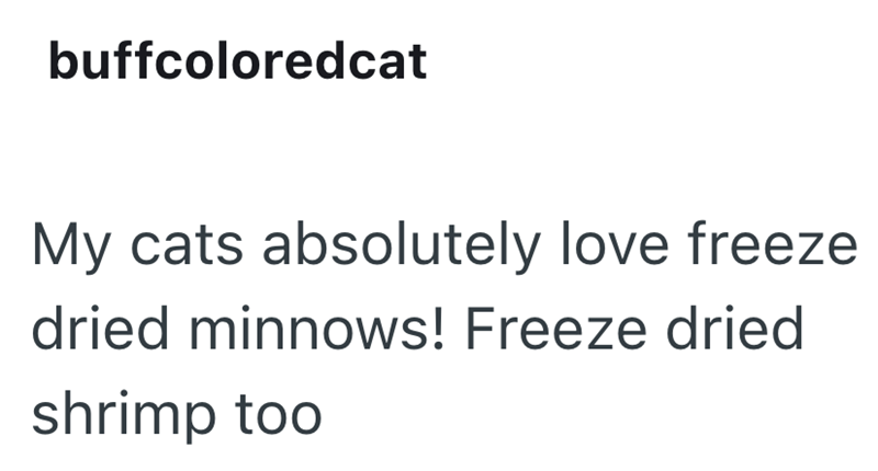buffcoloredcat My cats absolutely love freeze dried minnows! Freeze dried shrimp too