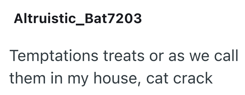 Altruistic_Bat7203 Temptations treats or as we call them in my house, cat crack
