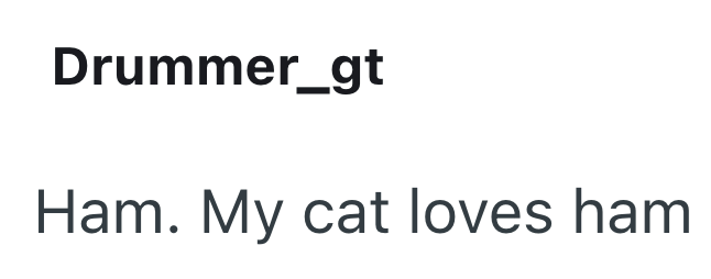 Drummer_gt Ham. My cat loves ham