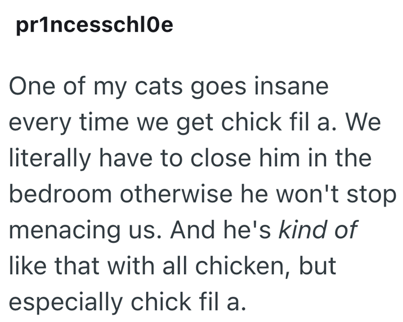 princesschl0e One of my cats goes insane every time we get chick fil a. We literally have to close him in the bedroom otherwise he won't stop menacing us. And he's kind of like that with all chicken, but especially chick fil a.