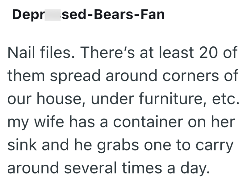 Depr sed-Bears-Fan Nail files. There's at least 20 of them spread around corners of our house, under furniture, etc. my wife has a container on her sink and he grabs one to carry around several times a day.