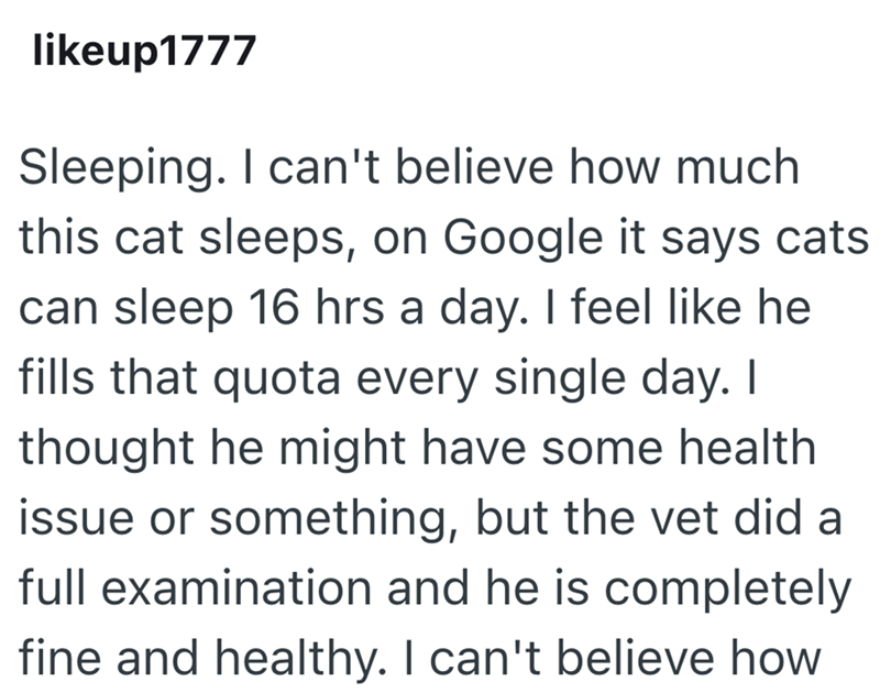 likeup1777 Sleeping. I can't believe how much this cat sleeps, on Google it says cats can sleep 16 hrs a day. I feel like he fills that quota every single day. I thought he might have some health issue or something, but the vet did a full examination and he is completely fine and healthy. I can't believe how