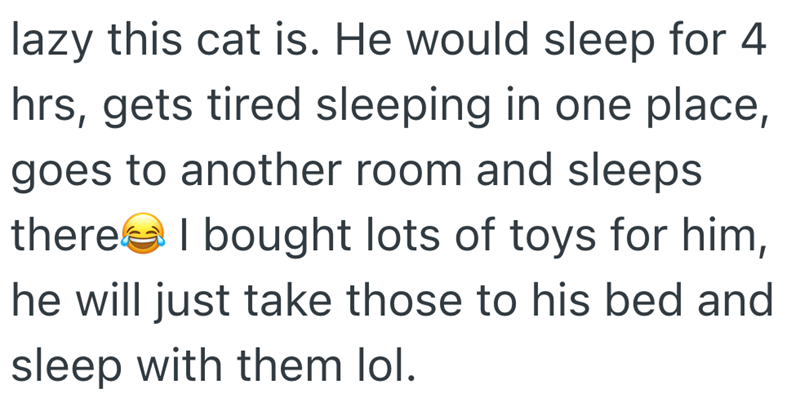 lazy this cat is. He would sleep for 4 hrs, gets tired sleeping in one place, goes to another room and sleeps there I bought lots of toys for him, he will just take those to his bed and sleep with them lol.