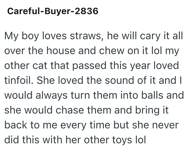 Careful-Buyer-2836 My boy loves straws, he will cary it all over the house and chew on it lol my other cat that passed this year loved tinfoil. She loved the sound of it and I would always turn them into balls and she would chase them and bring it back to me every time but she never did this with her other toys lol