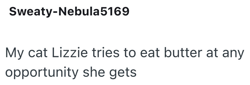 Sweaty-Nebula 5169 My cat Lizzie tries to eat butter at any opportunity she gets