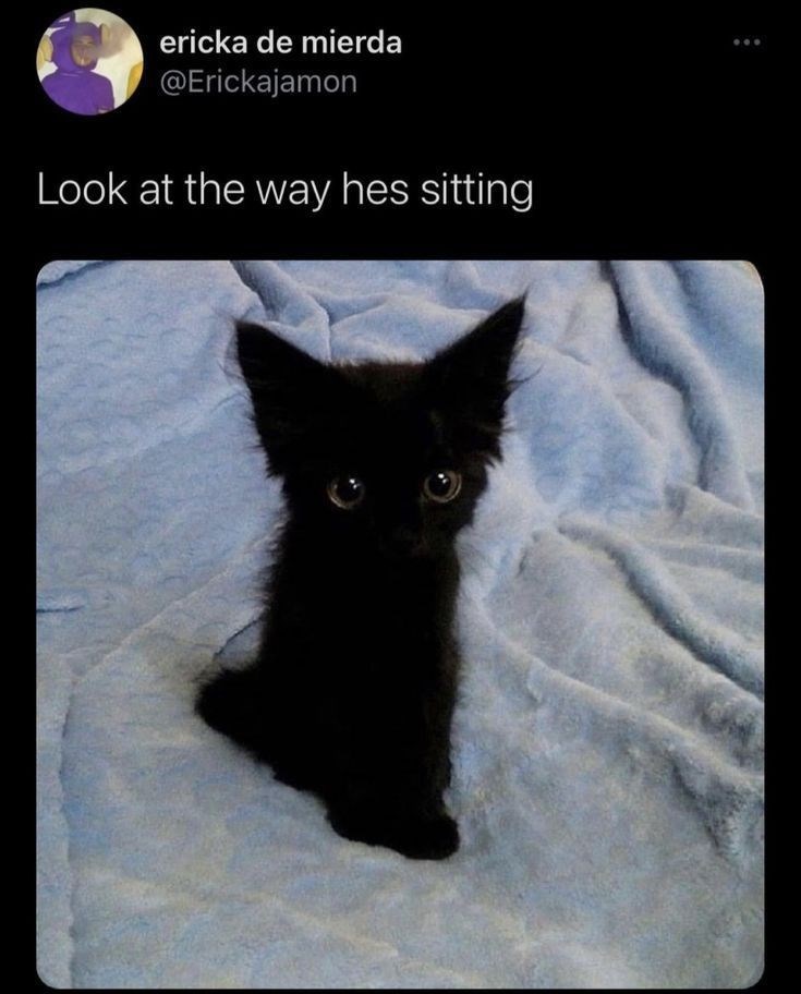 ericka de mierda @Erickajamon Look at the way hes sitting ...