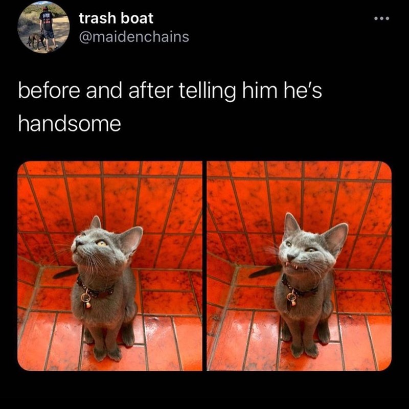 trash boat @maidenchains before and after telling him he's handsome