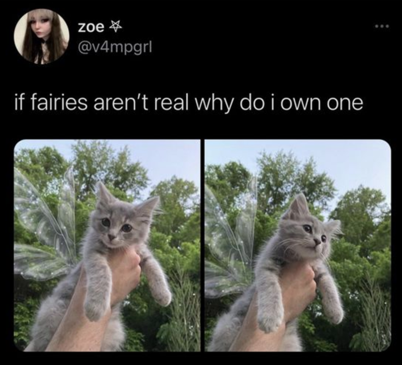 zoe-> @v4mpgrl if fairies aren't real why do i own one