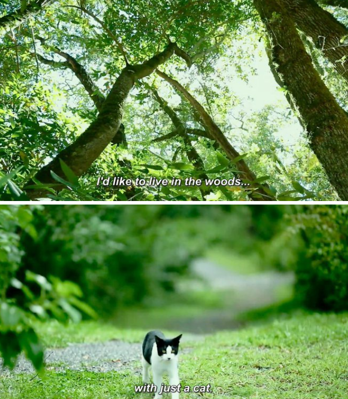 I'd like to live in the woods... with just a cat.