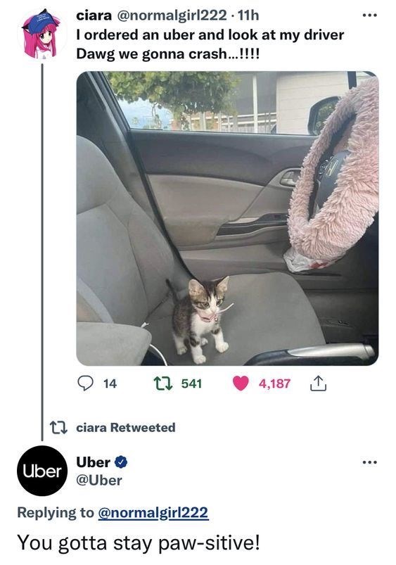ciara @normalgirl222.11h I ordered an uber and look at my driver Dawg we gonna crash...!!!! 14 1541 4,187 ciara Retweeted Uber Uber @Uber Replying to @normalgirl222 You gotta stay paw-sitive! ...