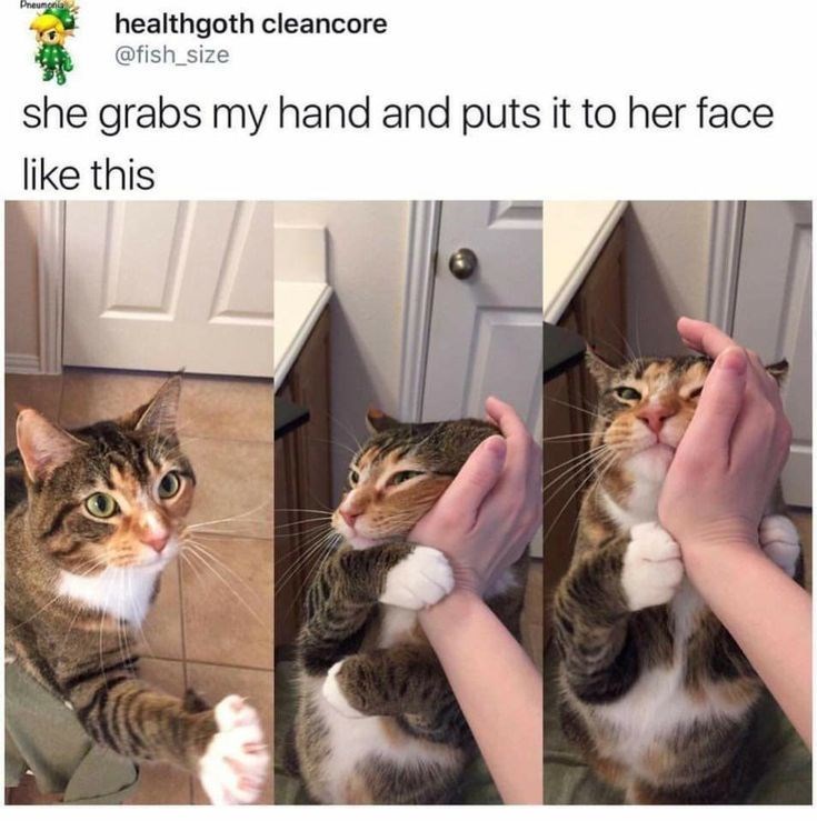 Pneumonia healthgoth cleancore @fish_size she grabs my hand and puts it to her face like this