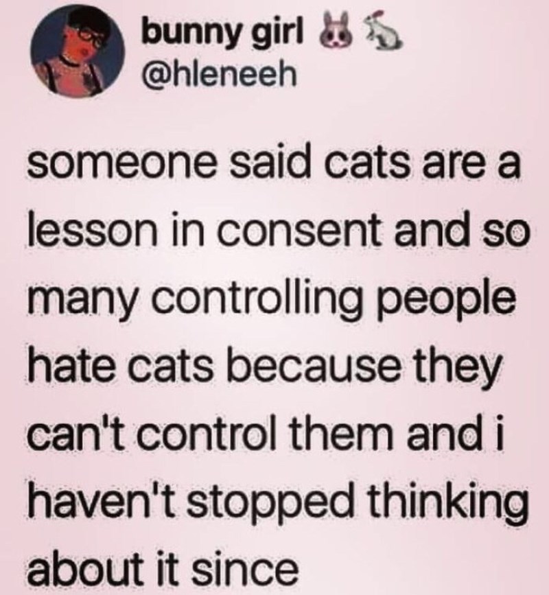 bunny girl @hleneeh someone said cats are a lesson in consent and so many controlling people hate cats because they can't control them and i haven't stopped thinking about it since