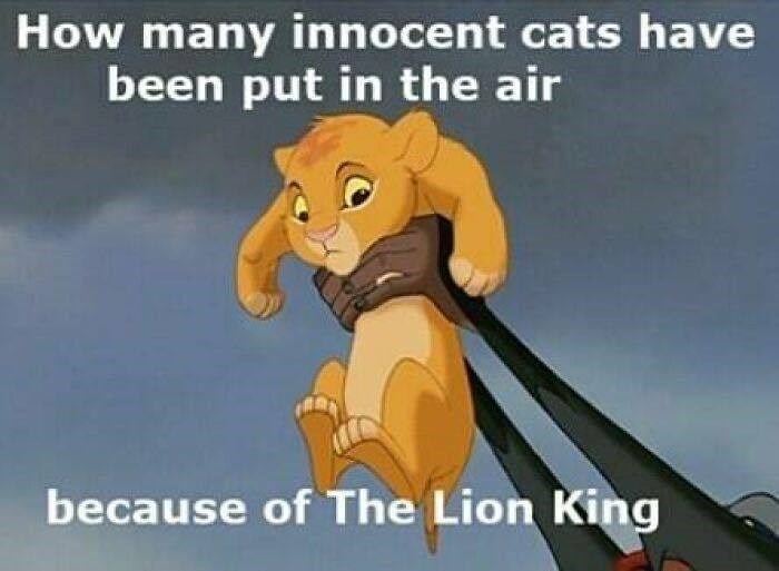 How many innocent cats have been put in the air because of The Lion King