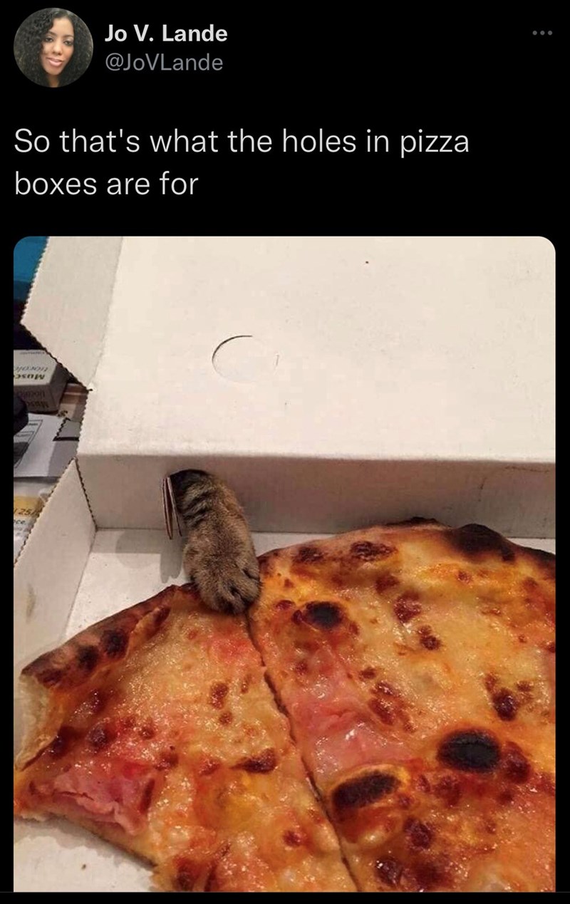 Jo V. Lande @JoVLande So that's what the holes in pizza boxes are for pow Qimzon