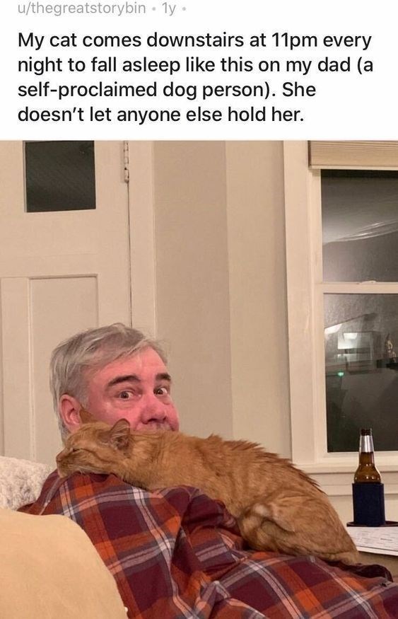 u/thegreatstorybin • 1y⚫ My cat comes downstairs at 11pm every night to fall asleep like this on my dad (a self-proclaimed dog person). She doesn't let anyone else hold her.
