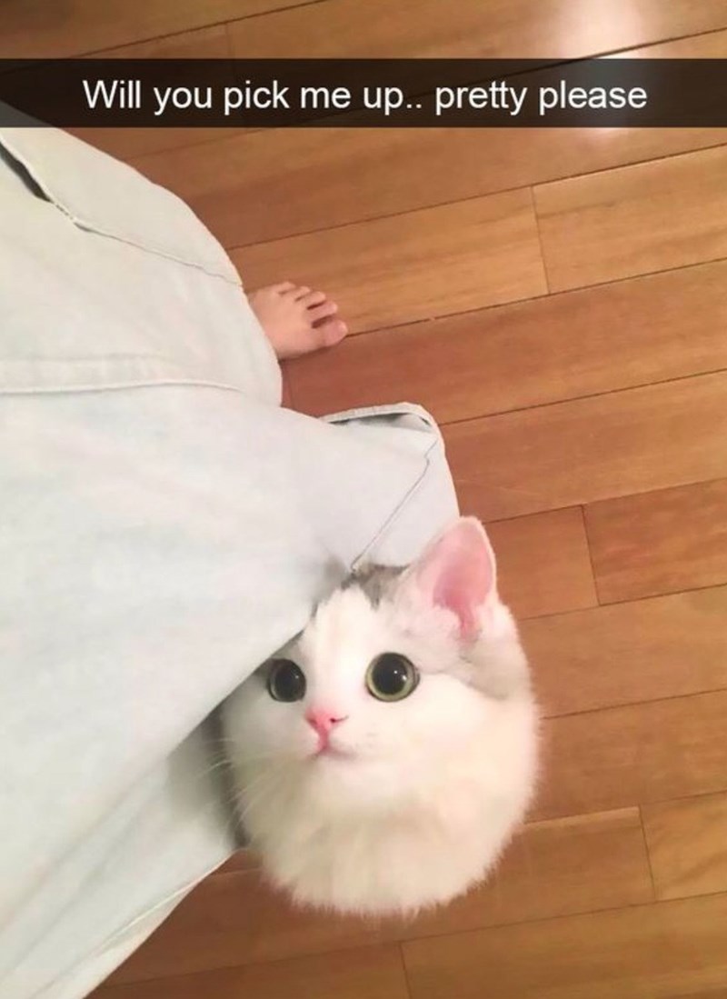 Will you pick me up.. pretty please