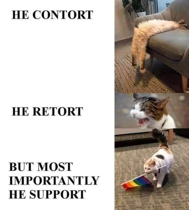 HE CONTORT HE RETORT BUT MOST IMPORTANTLY HE SUPPORT