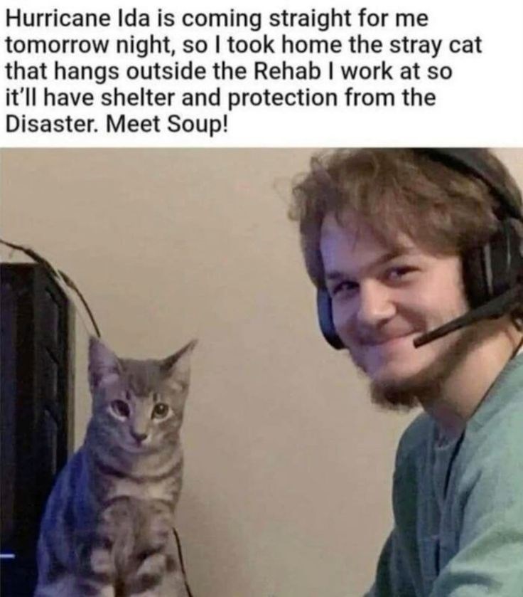 Hurricane Ida is coming straight for me tomorrow night, so I took home the stray cat that hangs outside the Rehab I work at so it'll have shelter and protection from the Disaster. Meet Soup!