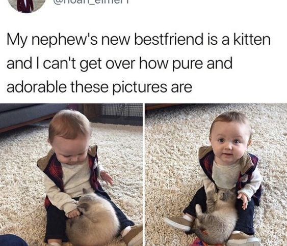 My nephew's new bestfriend is a kitten and I can't get over how pure and adorable these pictures are