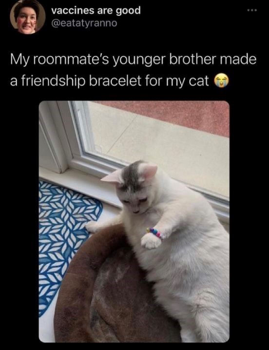 vaccines are good @eatatyranno My roommate's younger brother made a friendship bracelet for my cat