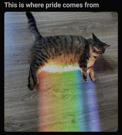 This is where pride comes from