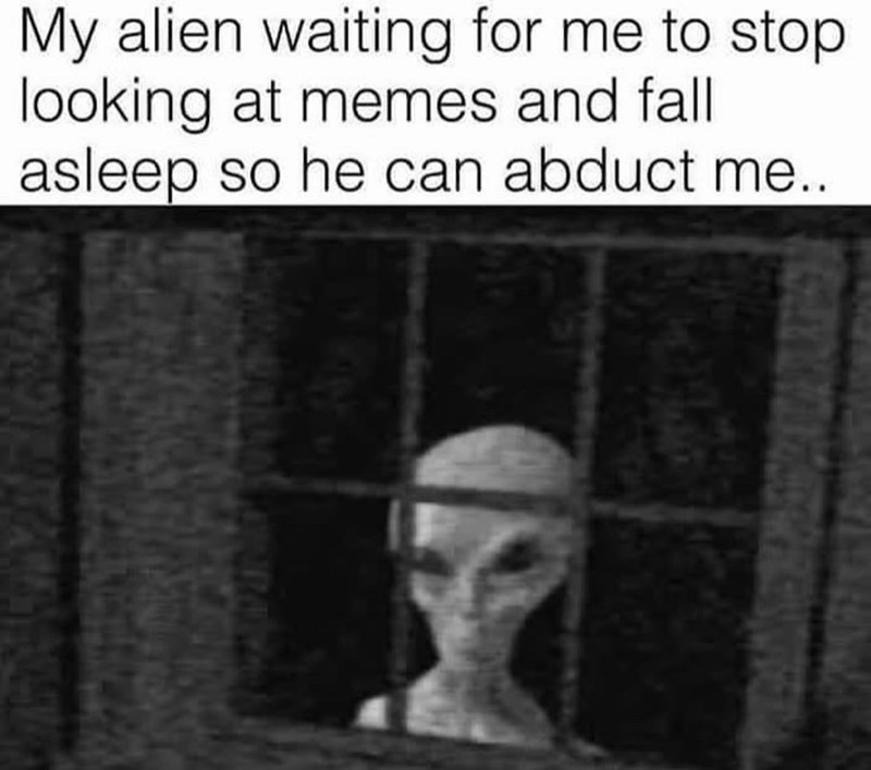 My alien waiting for me to stop looking at memes and fall asleep so he can abduct me..