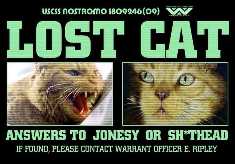 WEYLAND YUAN COR USCSS NOSTROMO 1809246(09) W LOST CAT ANSWERS TO JONESY OR SH*THEAD IF FOUND, PLEASE CONTACT WARRANT OFFICER E. RIPLEY