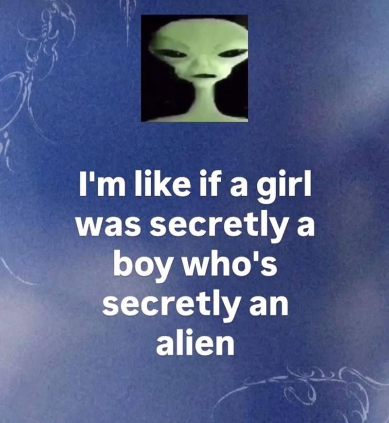 I'm like if a girl was secretly a boy who's secretly an alien