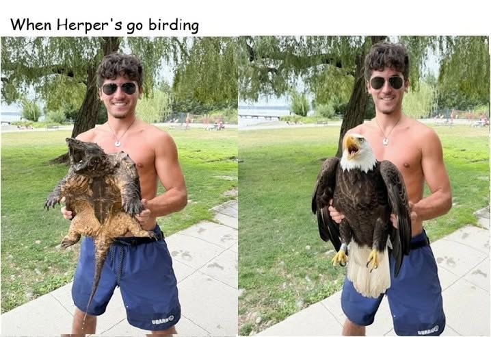 When Herper's go birding BAR GRAND