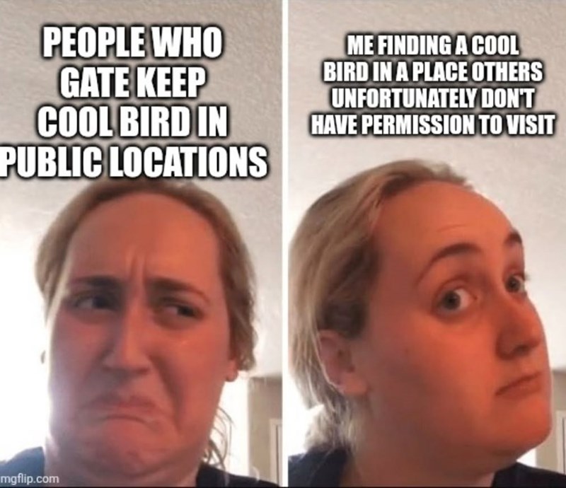 PEOPLE WHO GATE KEEP COOL BIRD IN PUBLIC LOCATIONS ME FINDING A COOL BIRD IN A PLACE OTHERS UNFORTUNATELY DON'T HAVE PERMISSION TO VISIT mgflip.com