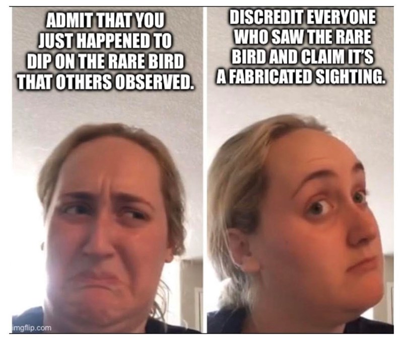 ADMIT THAT YOU JUST HAPPENED TO DIP ON THE RARE BIRD THAT OTHERS OBSERVED. DISCREDIT EVERYONE WHO SAW THE RARE BIRD AND CLAIM IT'S A FABRICATED SIGHTING. imgflip.com