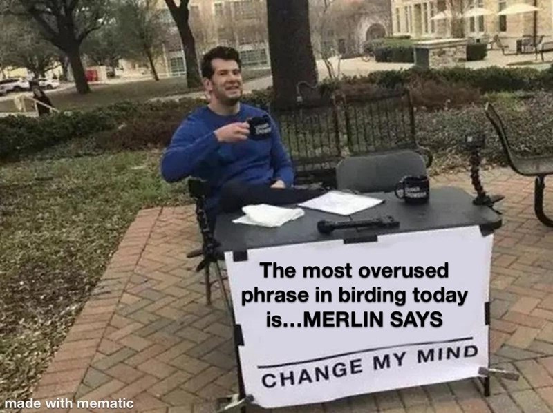 made with mematic The most overused phrase in birding today is...MERLIN SAYS CHANGE MY MIND