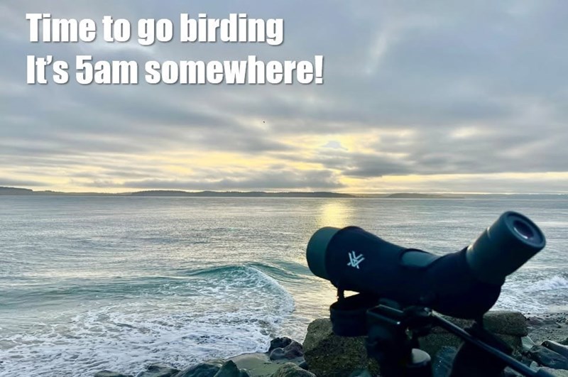 Time to go birding It's 5am somewhere!