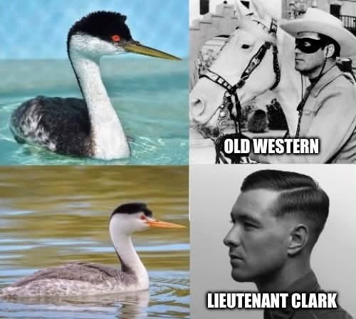 OLD WESTERN LIEUTENANT CLARK