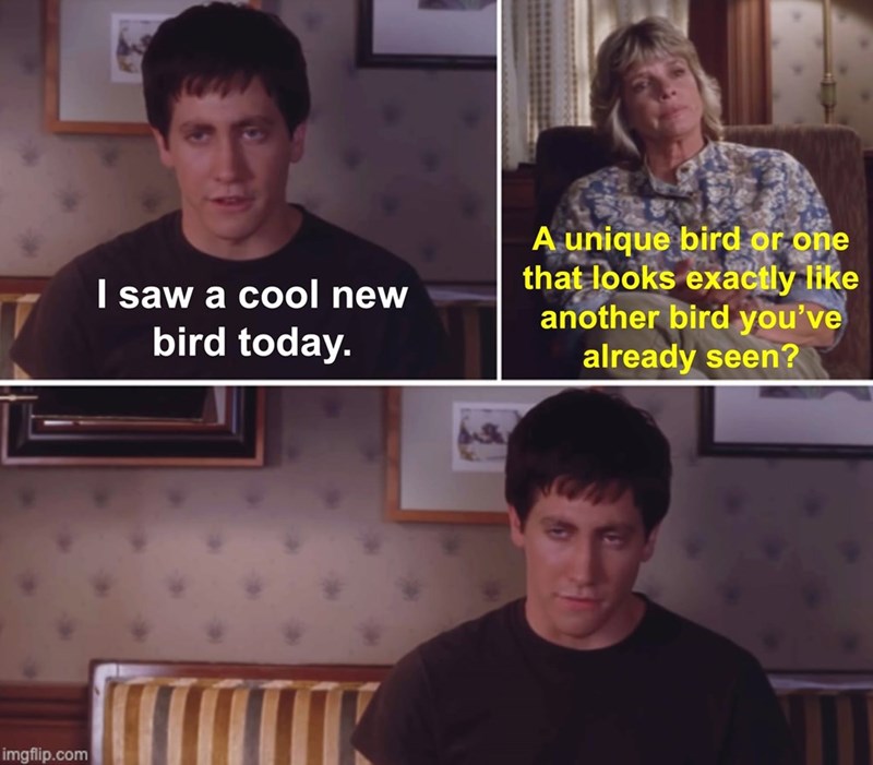 imgflip.com I saw a cool new bird today. A unique bird or one that looks exactly like another bird you've already seen?
