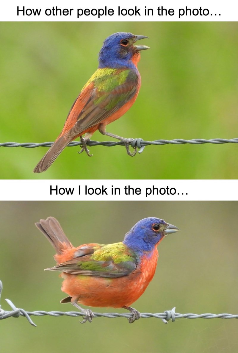 How other people look in the photo... How I look in the photo...