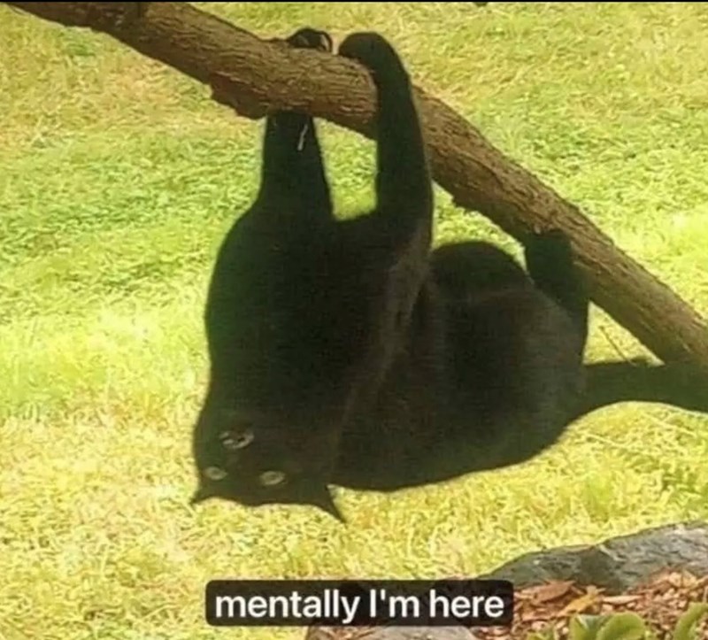 mentally I'm here