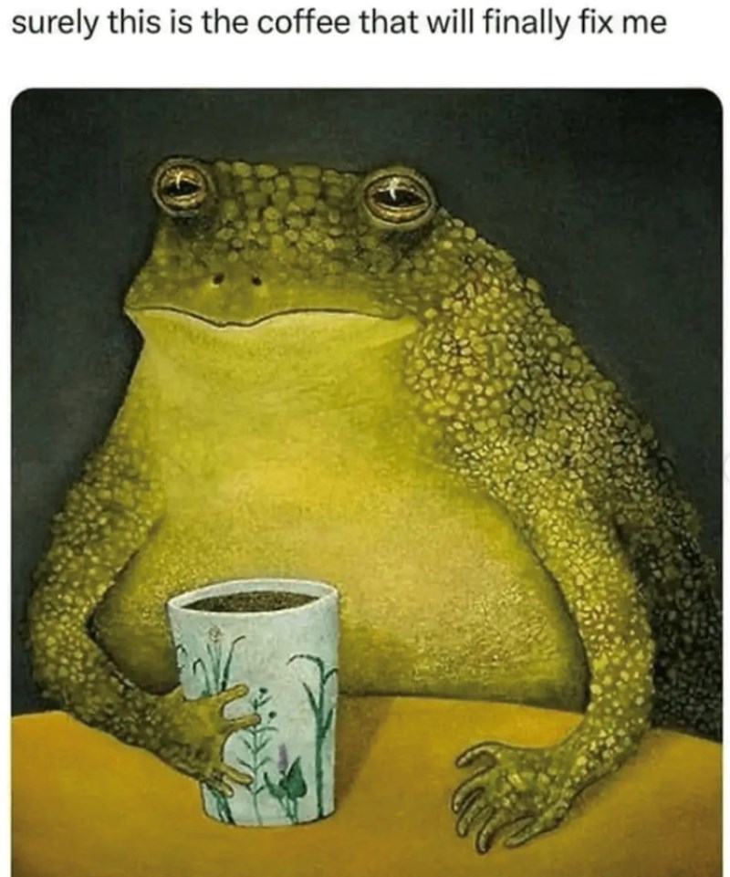 surely this is the coffee that will finally fix me