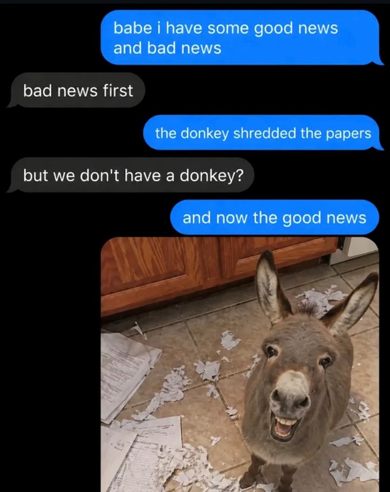 babe i have some good news and bad news bad news first the donkey shredded the papers but we don't have a donkey? and now the good news